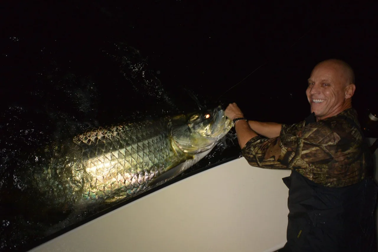 Night tarpon